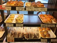 カトレアの写真・動画_image_121815