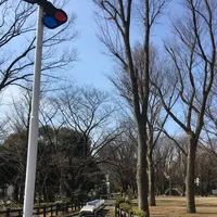 世田谷公園の写真・動画_image_121878