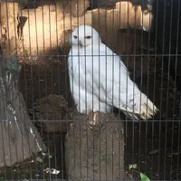 上野動物園の写真・動画_image_121890