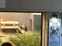 上野動物園の写真・動画_image_121891