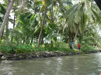 Damnoen Saduak Floating Market（ダムヌンサドアック水上マーケット）の写真・動画_image_122029