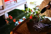 三景園の写真・動画_image_122054