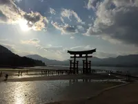 宮島（厳島）の写真・動画_image_122102