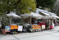 広島市の写真・動画_image_122110