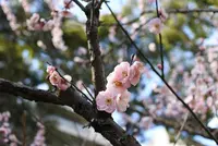 広島市の写真・動画_image_122121