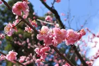 広島市の写真・動画_image_122126
