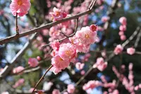 広島市の写真・動画_image_122127