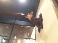 THE MEAT＆LABORATORY - ザ・ミート＆ラボラトリーの写真・動画_image_122236