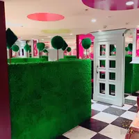 新宿 女子会 魔法の国のアリスの写真・動画_image_122259