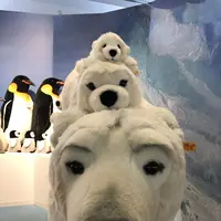 新千歳空港の写真・動画_image_122318
