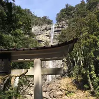 那智の滝の写真・動画_image_122358