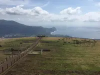 八丈富士牧野・ふれあい牧場の写真・動画_image_122380