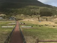 八丈富士牧野・ふれあい牧場の写真・動画_image_122383