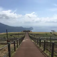八丈富士牧野・ふれあい牧場の写真・動画_image_122384