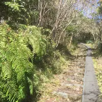 八丈富士の写真・動画_image_122390