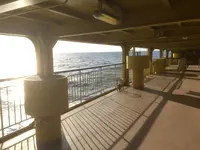 曙丸の写真・動画_image_122407