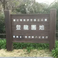 登龍峠展望台の写真・動画_image_122420