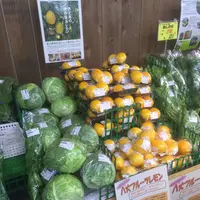 八丈ストアの写真・動画_image_122422