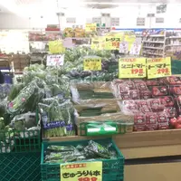 八丈ストアの写真・動画_image_122424