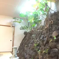 いそざきえんの写真・動画_image_122435