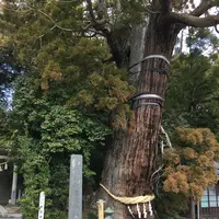 大國魂神社の写真・動画_image_122441