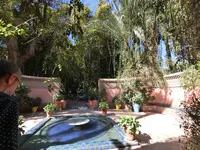 ジャーディン・マヨレルの写真・動画_image_122448