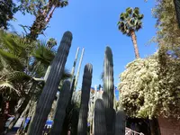 ジャーディン・マヨレルの写真・動画_image_122449