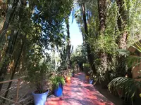 ジャーディン・マヨレルの写真・動画_image_122450