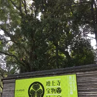 増上寺の写真・動画_image_122585