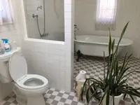 【閉業】チョコの写真・動画_image_122611