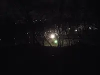 箱根山の写真・動画_image_122728