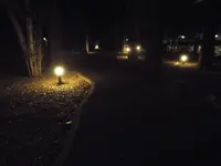 江古田の森公園の写真・動画_image_122732