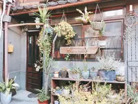あじき路地の写真・動画_image_122895