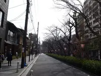 高瀬川の写真・動画_image_122898