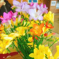 八形山フリージア畑の写真・動画_image_122904