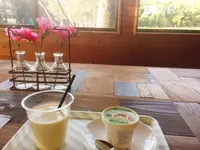 八形山フリージア畑の写真・動画_image_122905