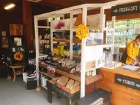 八形山フリージア畑の写真・動画_image_122908