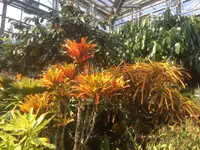 八丈植物公園の写真・動画_image_122922