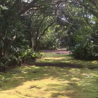 八丈植物公園の写真・動画_image_122988