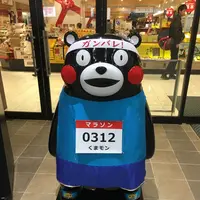 熊本駅の写真・動画_image_123026