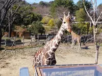 到津の森公園の写真・動画_image_123040