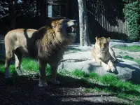 到津の森公園の写真・動画_image_123041