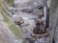 到津の森公園の写真・動画_image_123042