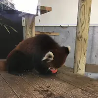 到津の森公園の写真・動画_image_123043