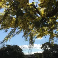 到津の森公園の写真・動画_image_123044