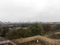 福岡城跡の写真・動画_image_123152