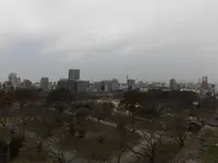 福岡城跡の写真・動画_image_123153