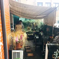 南阿蘇珈琲 Shop大江の写真・動画_image_123210