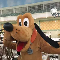 香港ディズニーランド・ホテルの写真・動画_image_123217