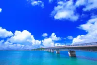 古宇利島の写真・動画_image_123280